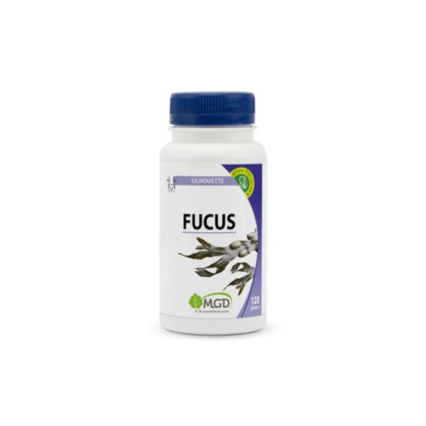 MGD FOCUS -120 GELULES